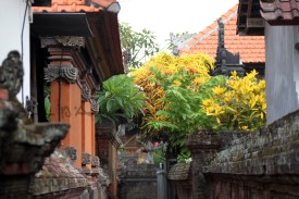 Bali (126)